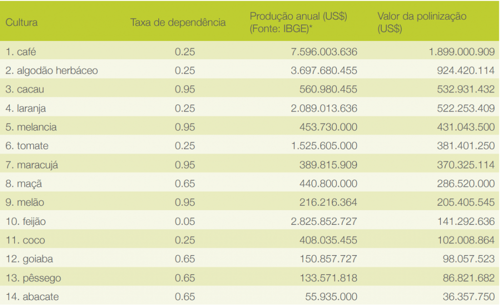 importância das abelhas na agricultura